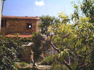 casanuova_320