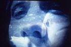 Installazione video  "Cola pesce" 